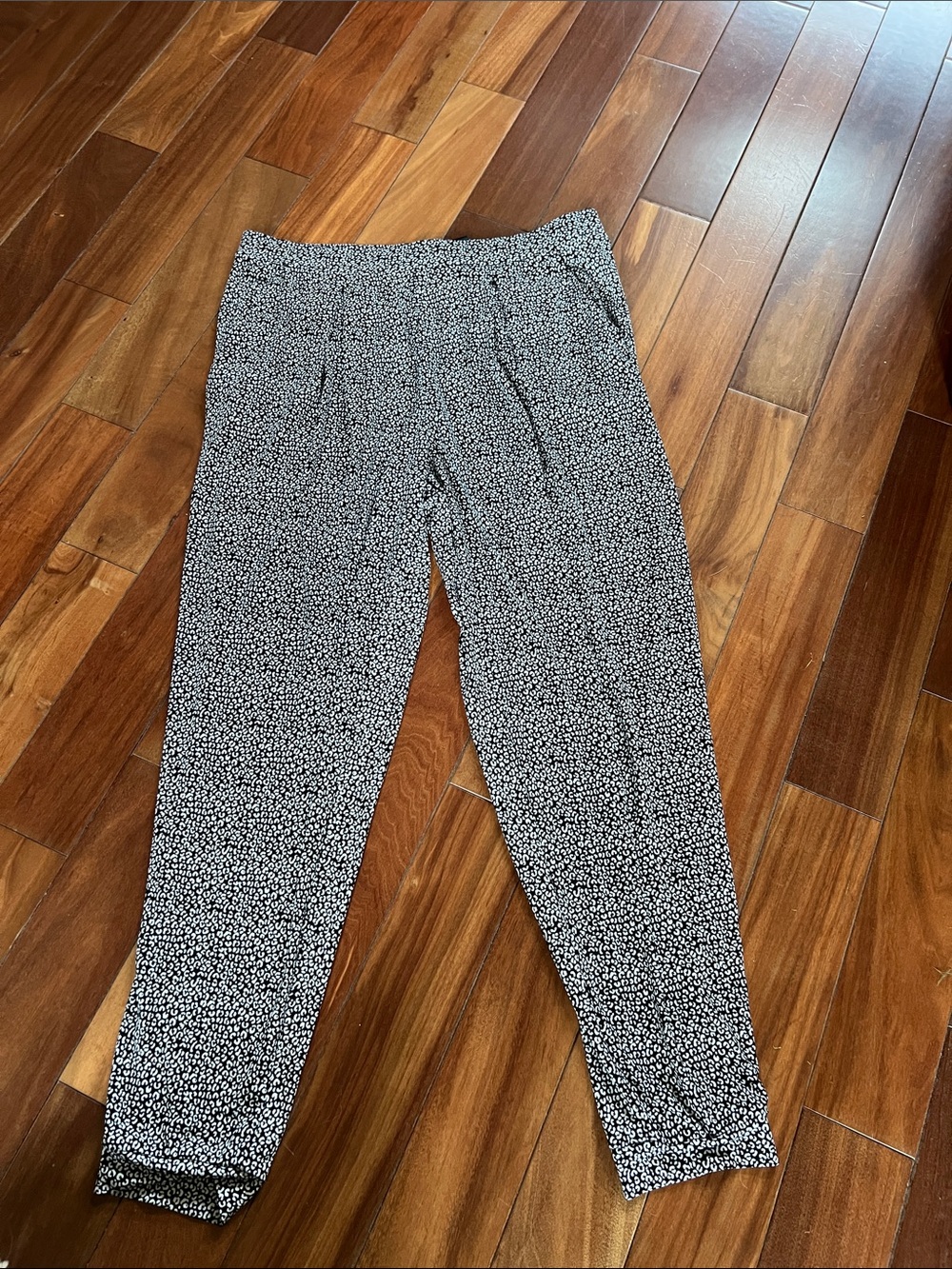 Black & White Printed dressy jogger dress pants from Express - Women's